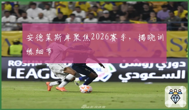 安德莱斯库聚焦2026赛季，揭晓训练细节