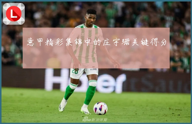 意甲精彩集锦中的庄宇珊关键得分